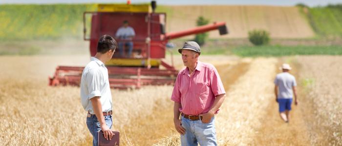 Soy un agricultor jubilado, ¿tengo derecho a compatibilizar mi pensión con la actividad en mis tierras?