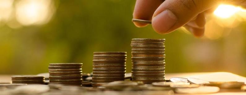 Iniciación al ahorro: Los distintos tipos de renta fija y sus características