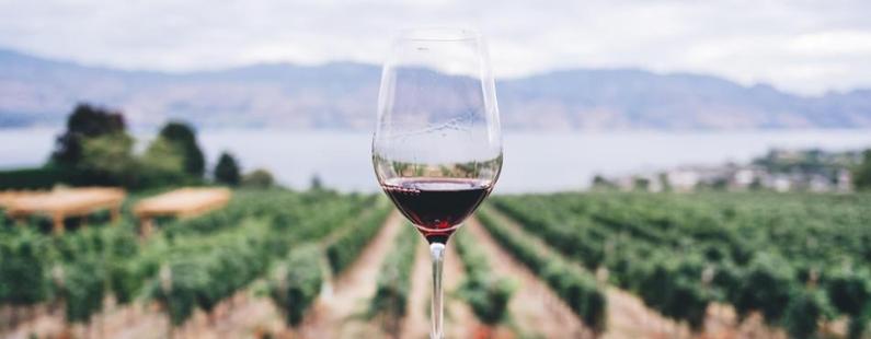 El vino y su poder antioxidante